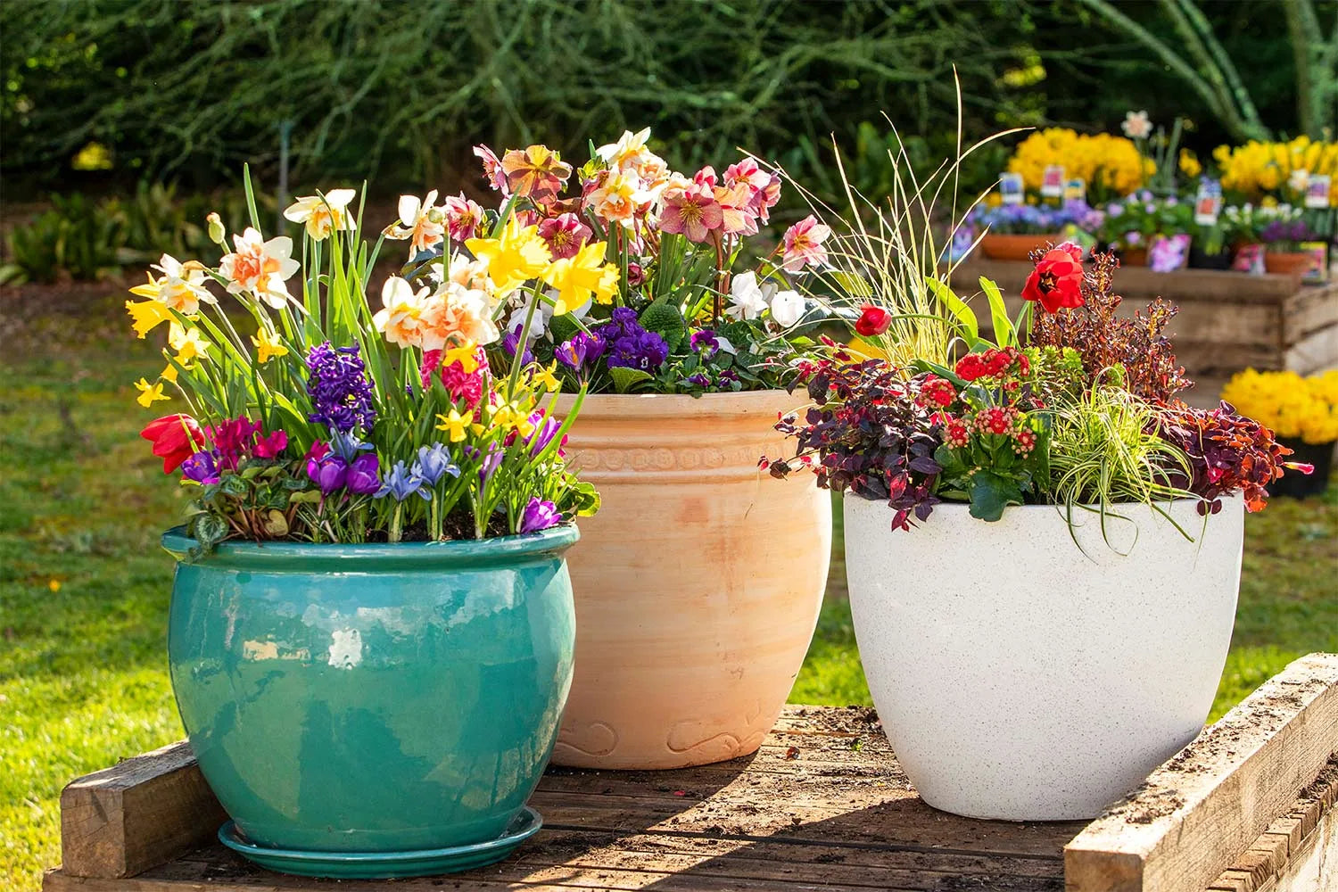 Pots